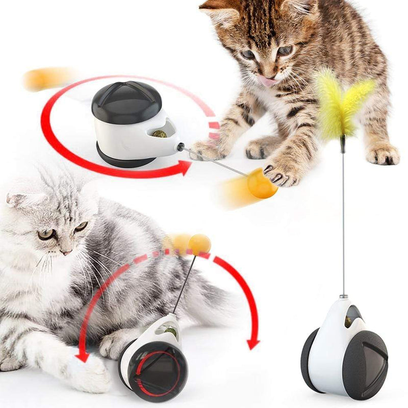 Mega Loja dos Produtos Pets Brinquedo Interativo para Gatos